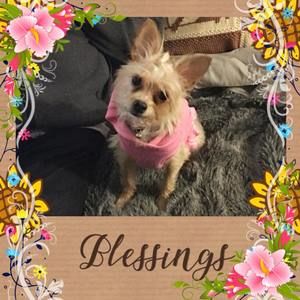 Meet your Posher, Demetria